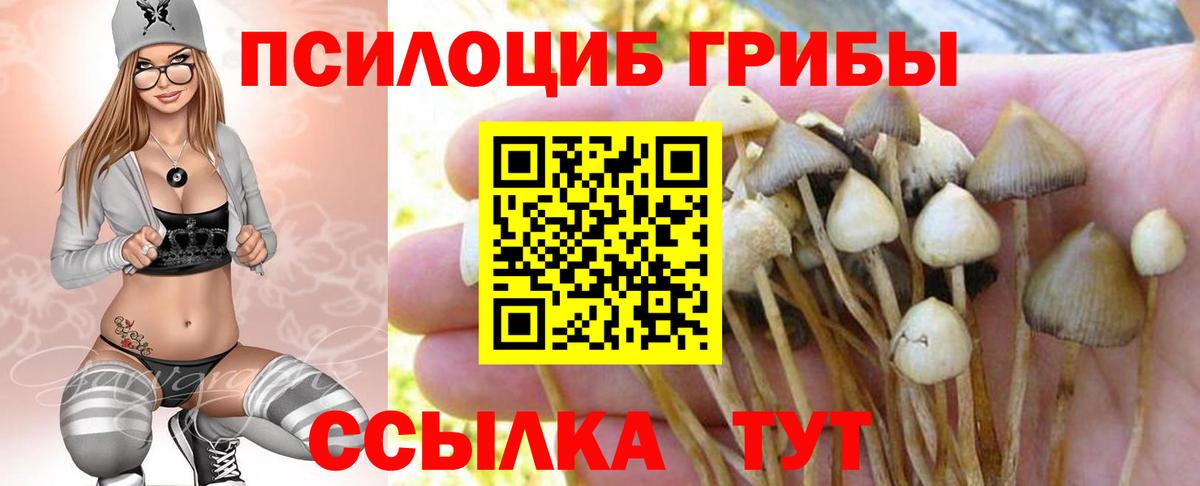 Псилоцибиновые грибы Cubensis  Вход с VPN  Псилоцибиновые грибы Magic Shrooms  Звенигород 