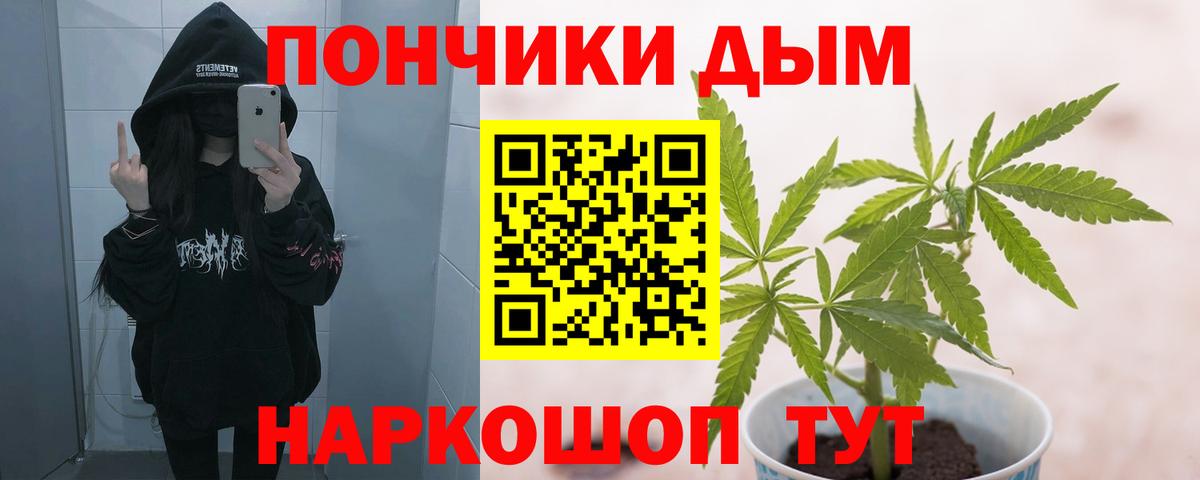 Бошки марихуана семена Звенигород